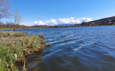 Horgászpóló – a vízparton is stílusosan