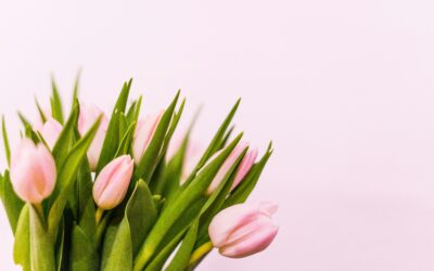 Megvan már a saját egyedi pólód a szezonra?