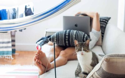 Csapatpóló – egységben az erő