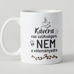 Kávéra van szükségem, nem a véleményedre